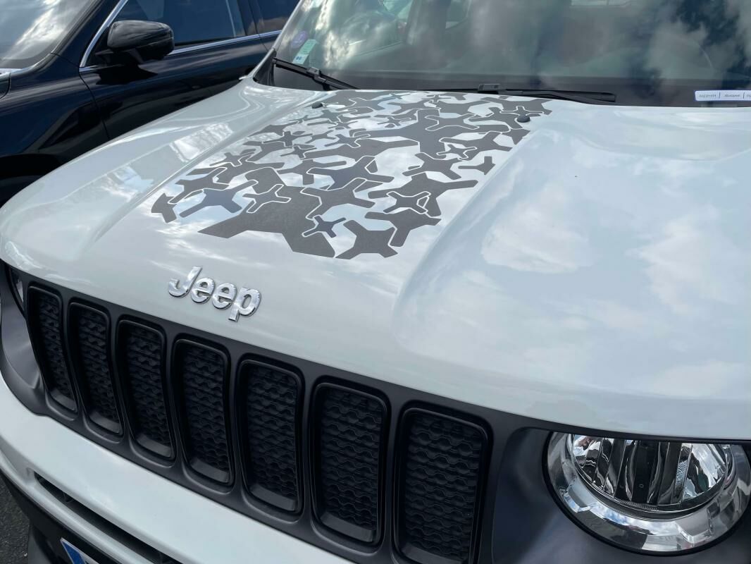  Renegade  2  à vendre