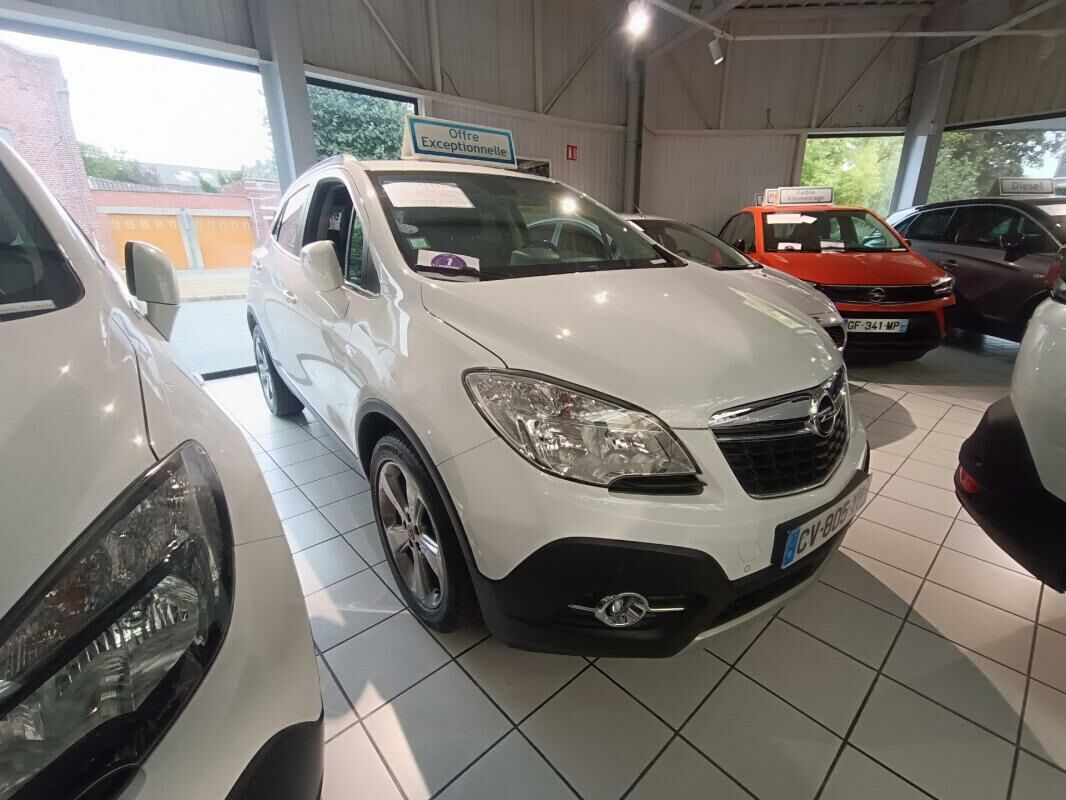  Mokka à vendre